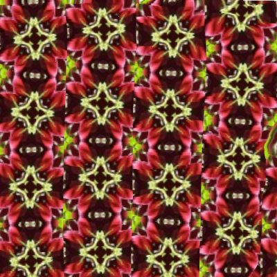 Week5-kaleidoscope-patternpens-nitamata.jpg