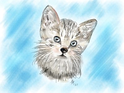 Cuddly Tiger Sketch & Tint