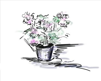 Doodle of Begonia Pot.