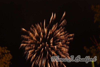 DSC_3910wtmk.jpg