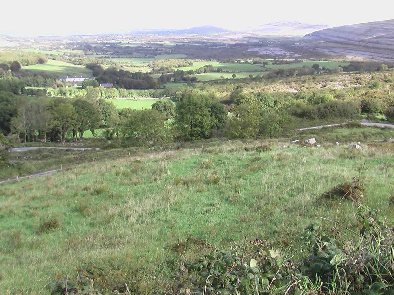 Vista and Corkscrew Road Near Galway