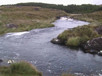 Stream - Connemara