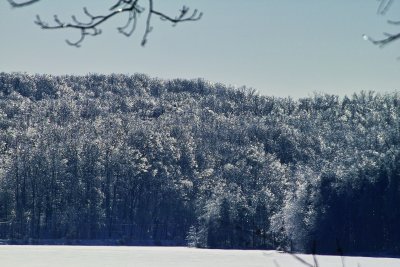 Indiana Winter