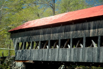 DSC_4588.JPG