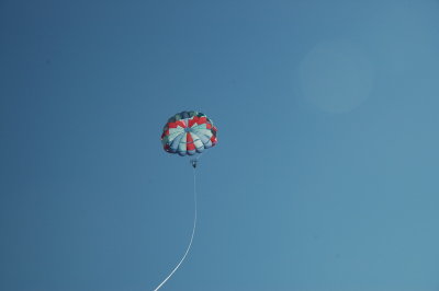 g6/78/778478/3/84352357.9lM8iFl8.jpg