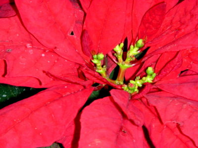 DSCN0330.JPG