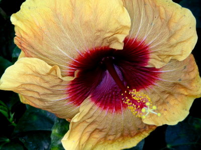 DSCN0339.JPG