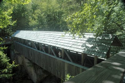 DSC_5442.JPG