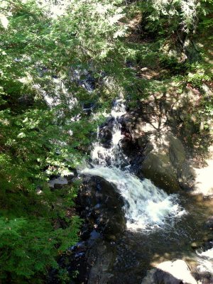 DSCN2286.JPG