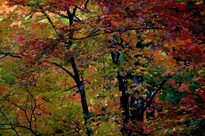 DSC_2824.JPG
