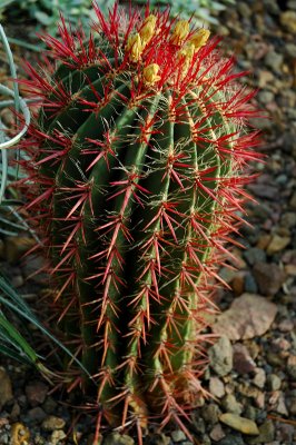 DSC_3214.JPG