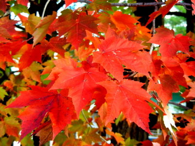 DSCN2790.JPG