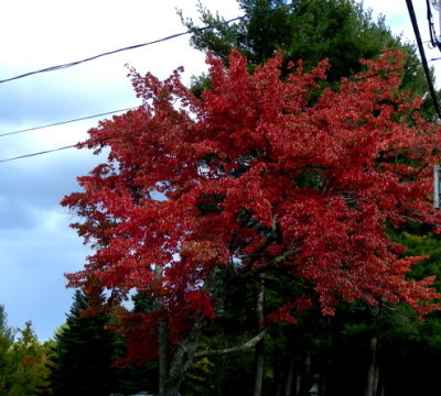 DSCN2896.JPG