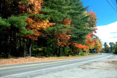 DSC_6165.JPG