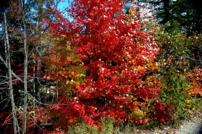 DSC_6180.JPG