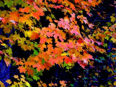 DSCN2651.JPG