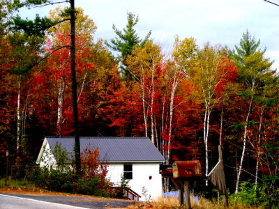 DSCN2718.JPG