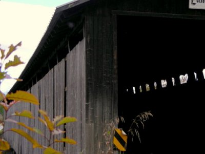 DSCN2706.JPG