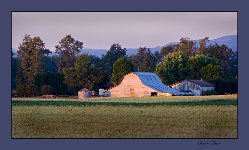 barn near marthas web.jpg