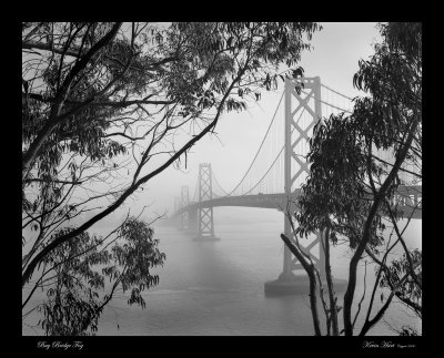 Bay Bridge Fog  16x web.jpg