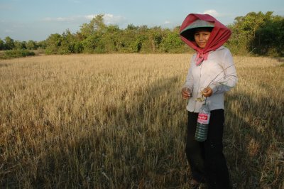 Cambodian woman