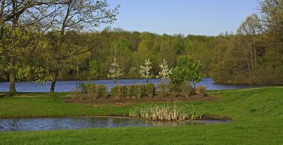 SPRING VIEW