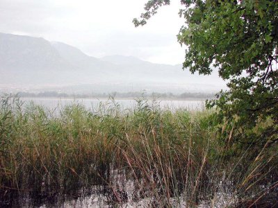 Wanderung entlang der Kste durch Kiefernwlder