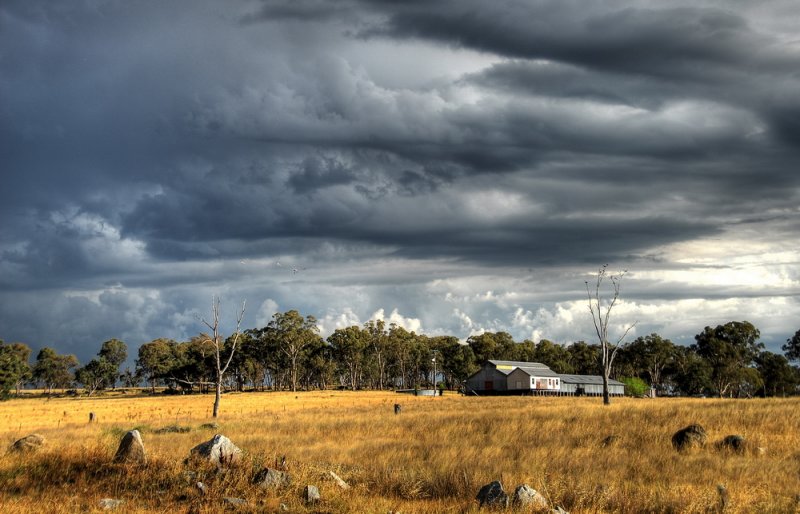 Bundarra Woolshed