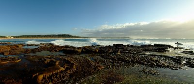 Dee Why Surf