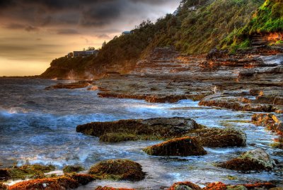 Whale Beach 2