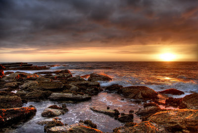 Whale Beach 3