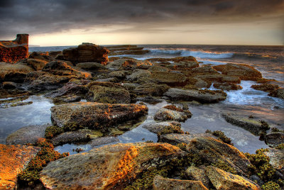 Whale Beach 4