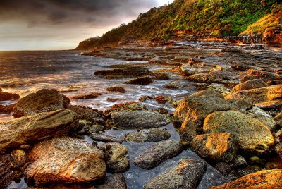 Whale Beach 5