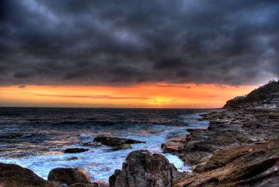 Whale Beach 6