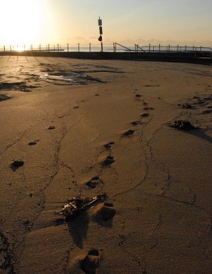 Mona Vale Beach 10