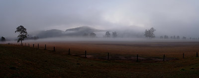  Mist at St Albans