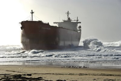 Pasha Bulker run aground