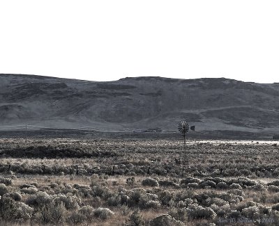 infrared color12PA211106-01.jpg