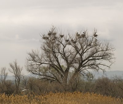 W _4214069.jpg