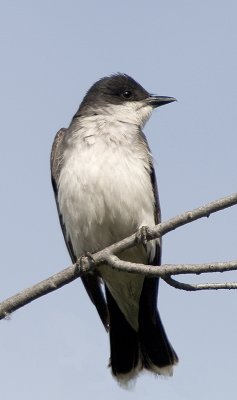 AW-7206656.jpg