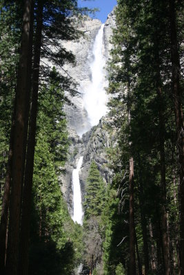 Elderhostel tour of Yosemite;  1 April 2007