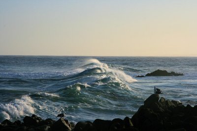 Pacific Ocean, Pacific Grove, CA