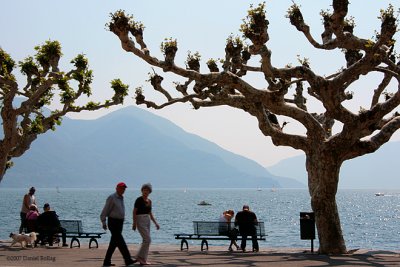 Ascona_LagoBume125.jpg