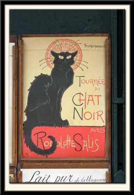 Chat Noir