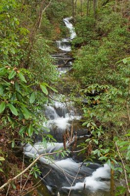 waterfall on Long Branch