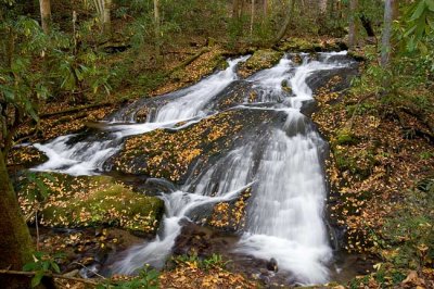 Chasteen Creek Cascades 1