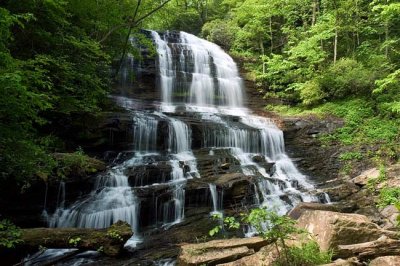 Pearson's Falls