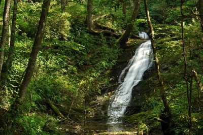 waterfall on Hickory Branch 1