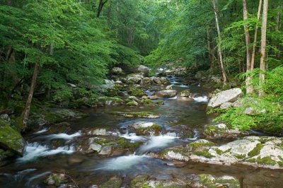 June 9 - Big Creek, Smoky Mountains