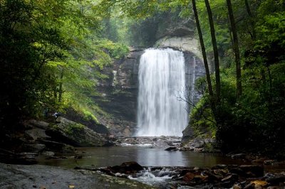 Looking Glass Falls 4